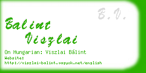 balint viszlai business card